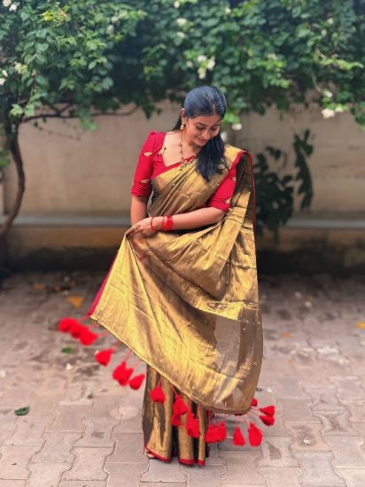 Picture of Peacock Color Raaga silk sarees